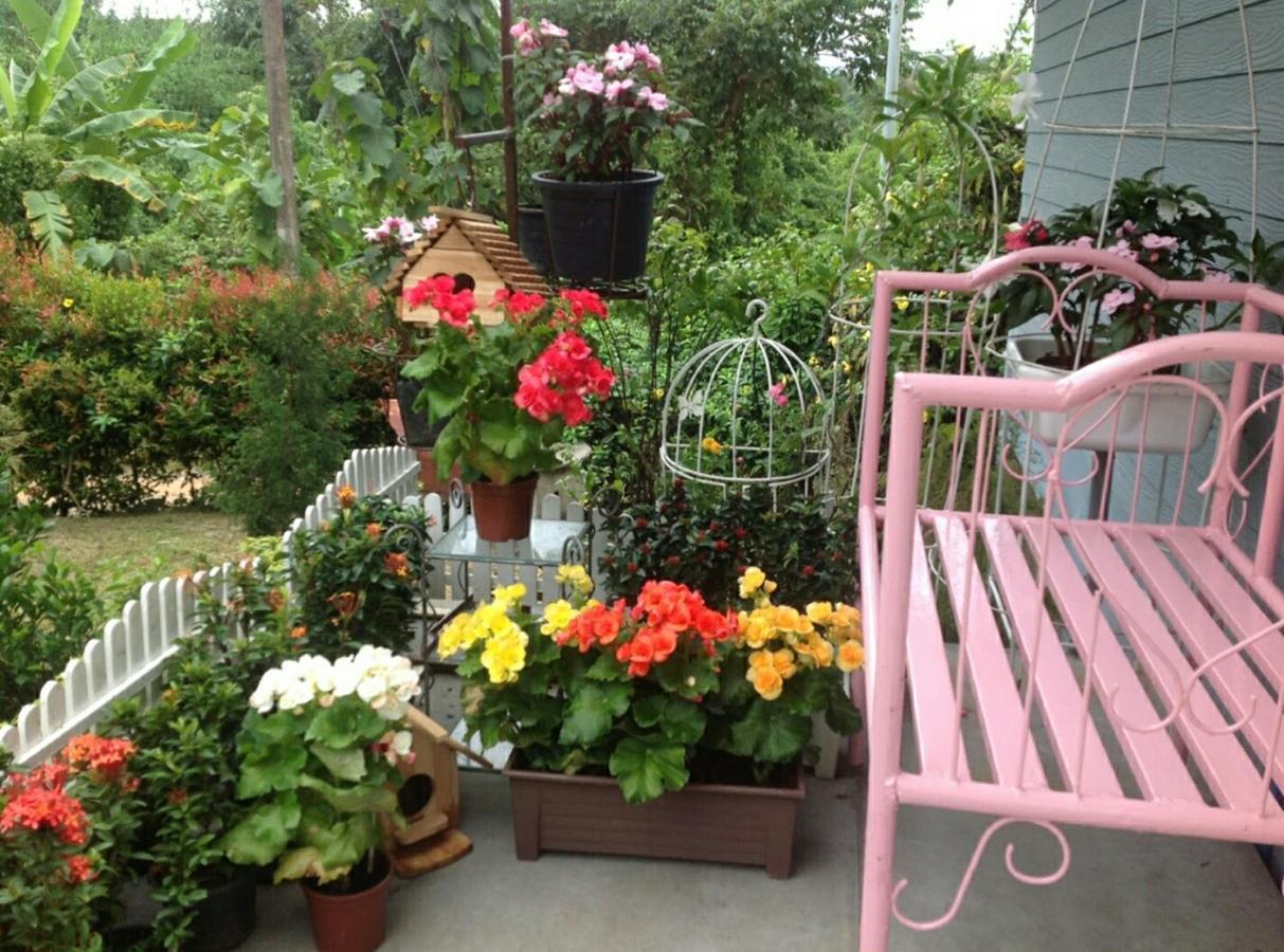 צ'יאנג ריי Baan Jaokorkluay บ้านเจ้ากอกล้วย מראה חיצוני תמונה